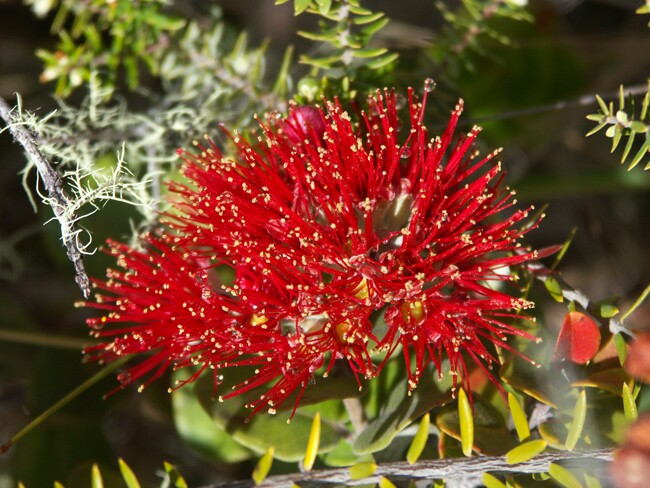 Click to See Next Image