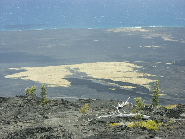 Click to See Next Image