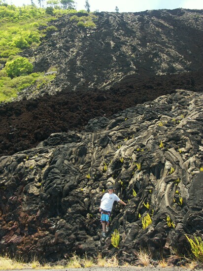 Click to See Next Image