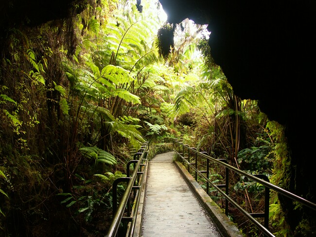 Click to See Next Image