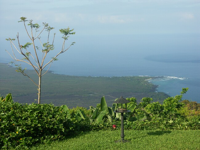 Click to See Next Image