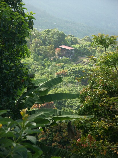 Click to See Next Image