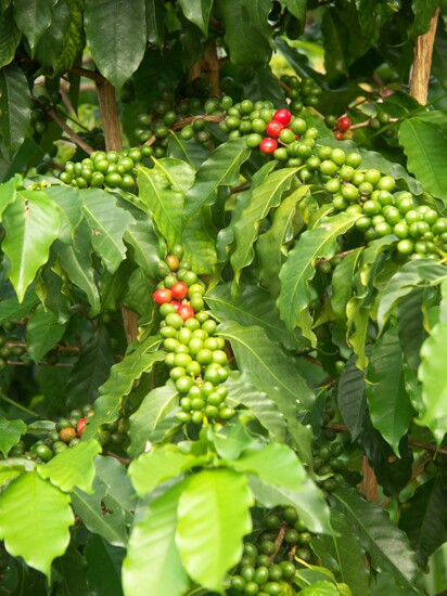 Click to See Next Image