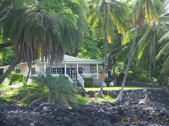 Click to See Next Image