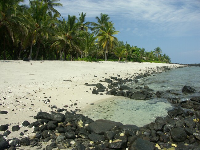 Click to See Next Image