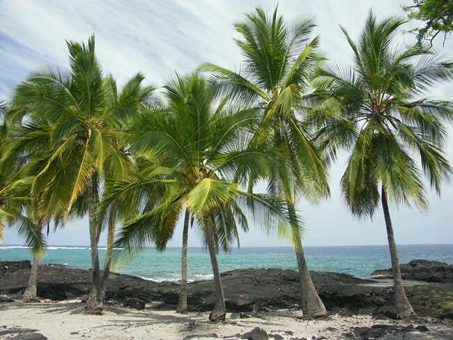 Click to See Next Image