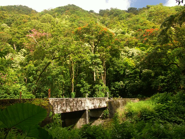 Click to See Next Image