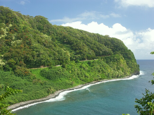 Click to See Next Image