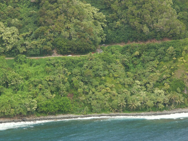 Click to See Next Image