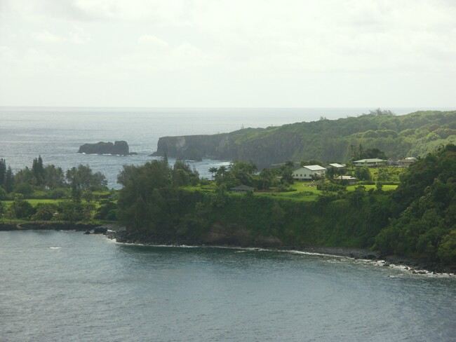 Click to See Next Image