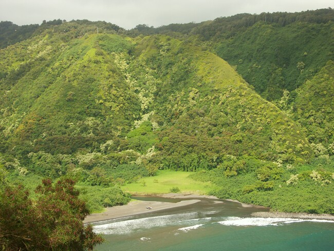 Click to See Next Image