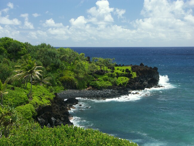 Click to See Next Image