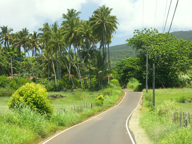 Click to See Next Image