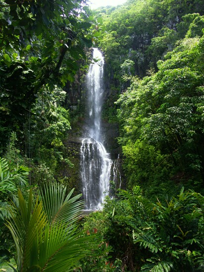 Click to See Next Image