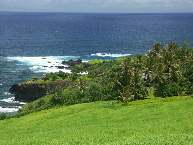 Click to See Next Image