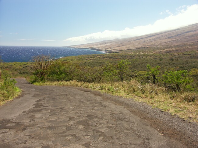 Click to See Next Image