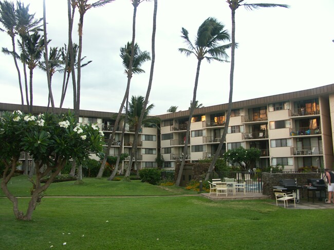 Click to See Next Image