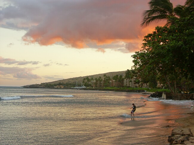 Click to See Next Image