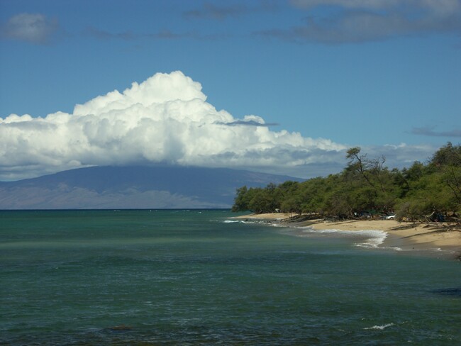 Click to See Next Image