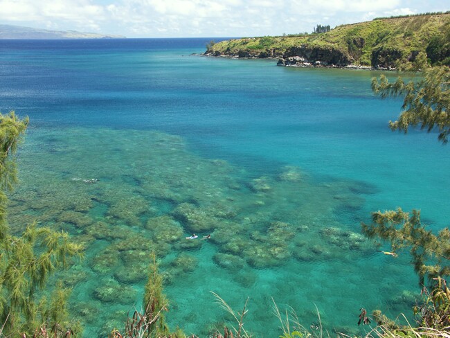 Click to See Next Image