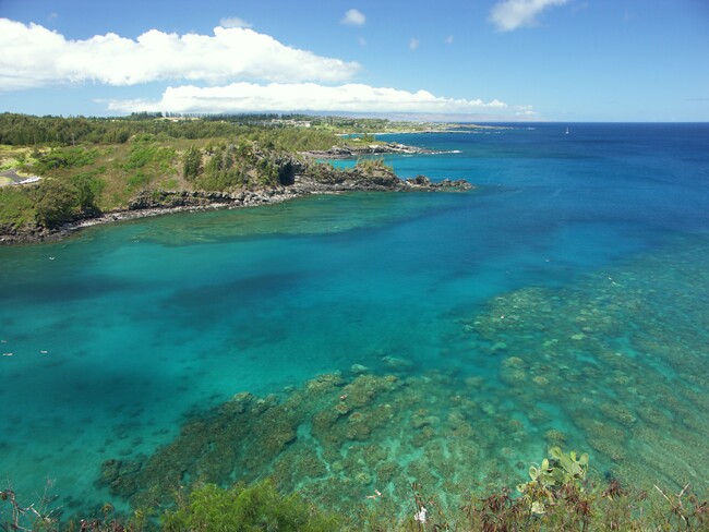 Click to See Next Image