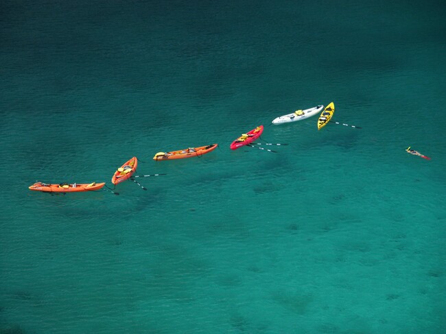 Click to See Next Image