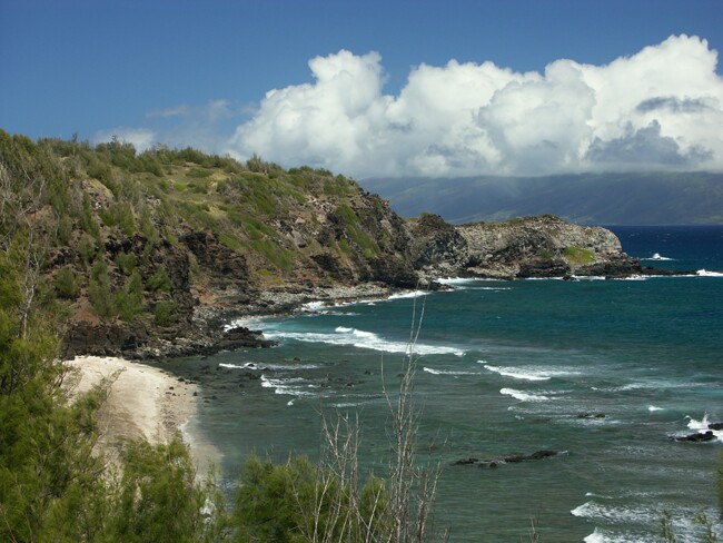 Click to See Next Image