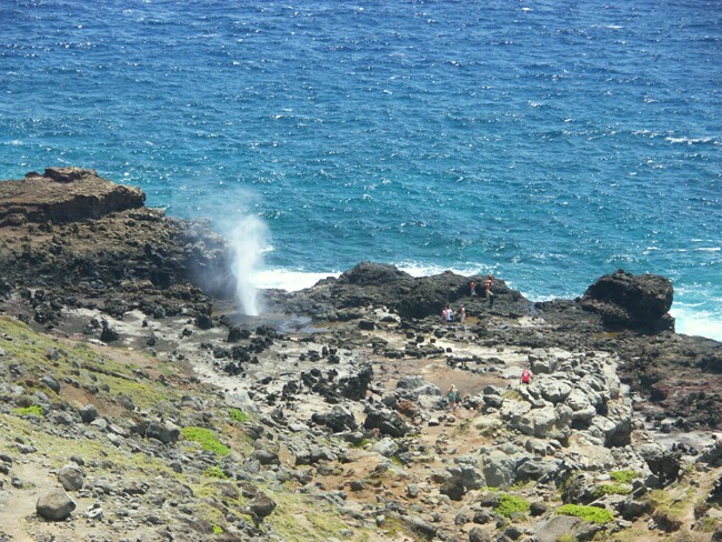 Click to See Next Image