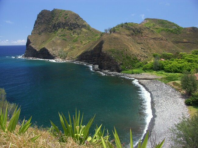 Click to See Next Image