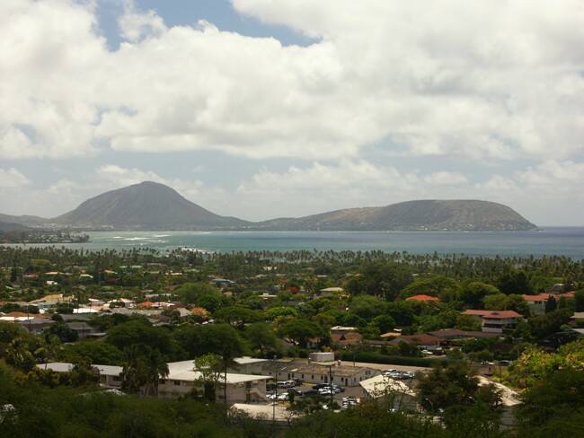 Click to See Next Image