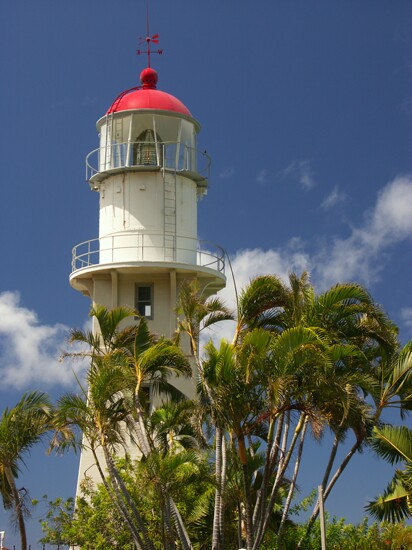 Click to See Next Image