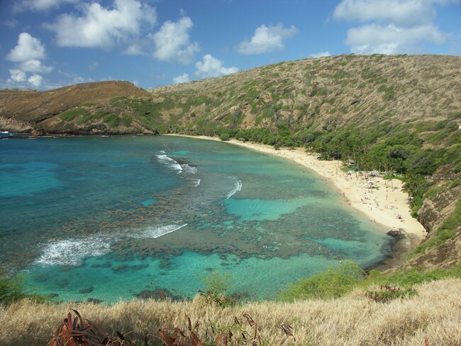 Click to See Next Image