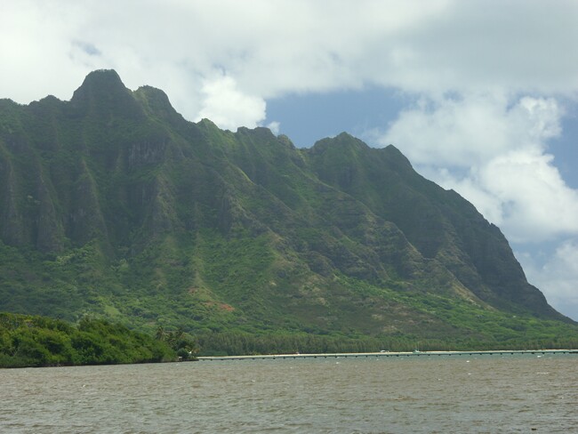 Click to See Next Image