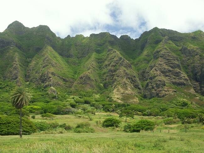 Click to See Next Image