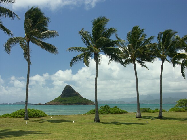 Click to See Next Image