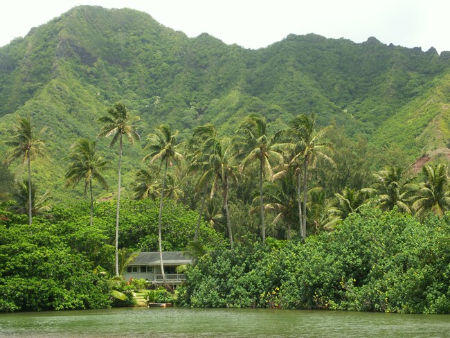 Click to See Next Image