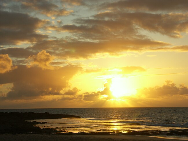 Click to See Next Image