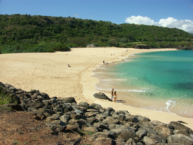 Click to See Next Image