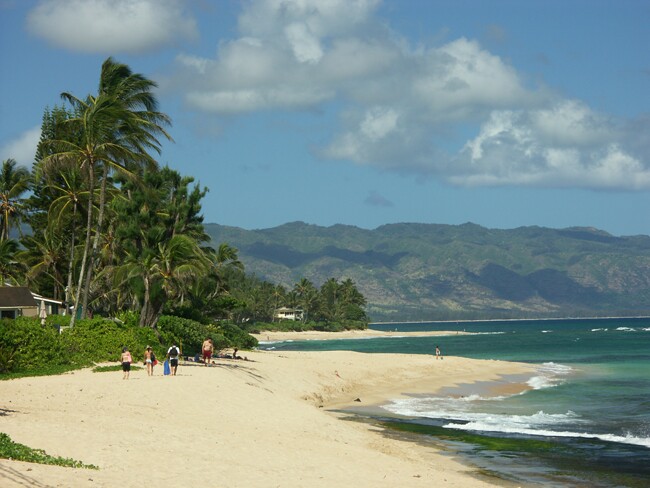 Click to See Next Image