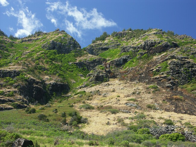 Click to See Next Image