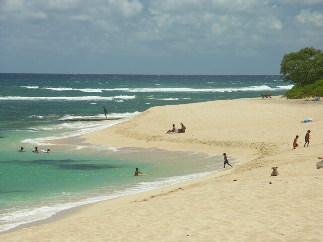 Click to See Next Image