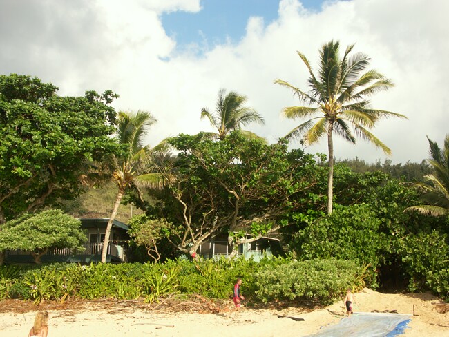 Click to See Next Image