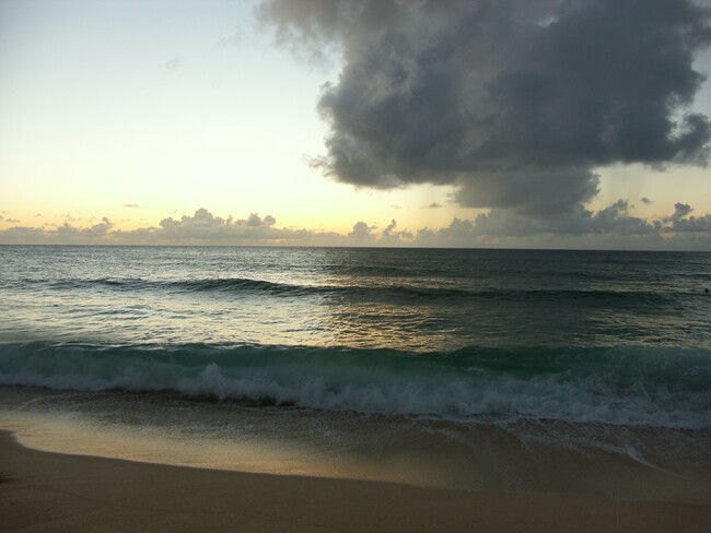 Click to See Next Image