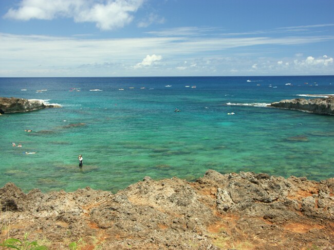 Click to See Next Image