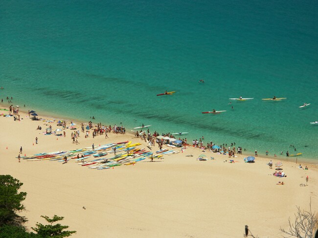 Click to See Next Image