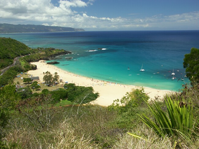 Click to See Next Image