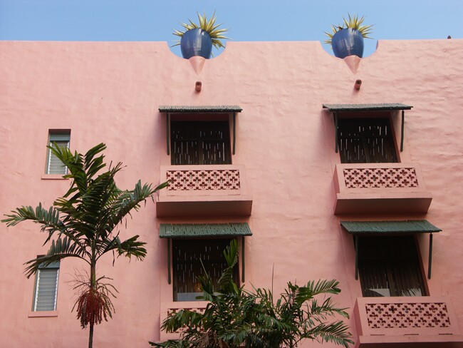 Click to See Next Image