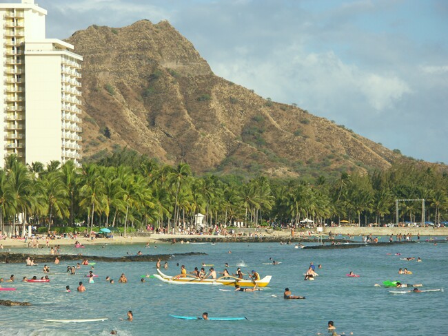 Click to See Next Image