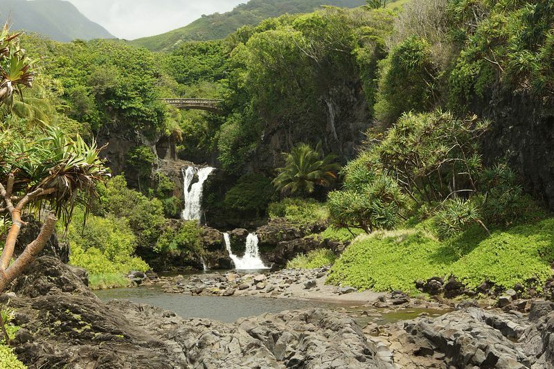 Click to See Next Image