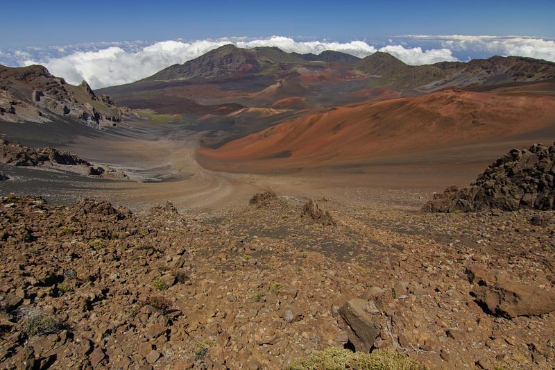 Click to See Next Image